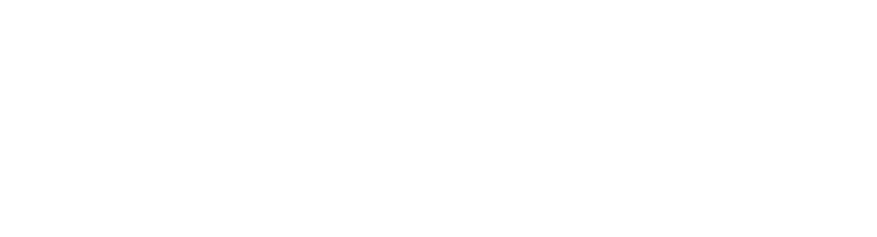 Edussist